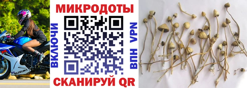 Псилоцибиновые грибы Psilocybine cubensis  Гагарин 